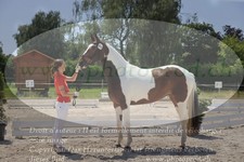 ref. photo 3200158