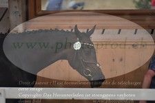 ref. photo 3200178