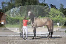 ref. photo 3200181