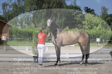 ref. photo 3200182