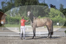 ref. photo 3200183