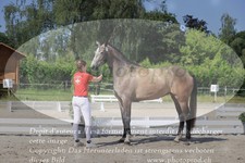 ref. photo 3200184
