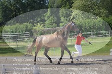 ref. photo 3200189