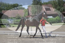 ref. photo 3200211