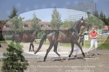 ref. photo 3200213