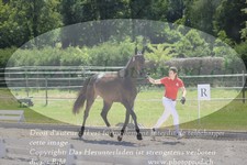 ref. photo 3200214