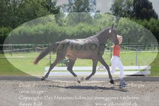 ref. photo 3200220