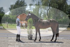 ref. photo 3200239
