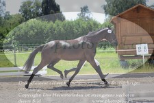 ref. photo 3200249
