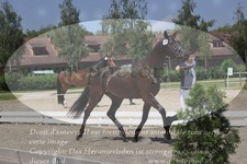 ref. photo 3200252
