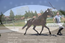ref. photo 3200253