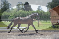 ref. photo 3200255