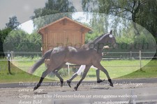 ref. photo 3200256