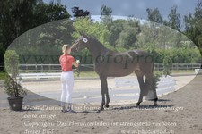 ref. photo 3200278