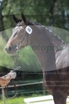 ref. photo 3200288