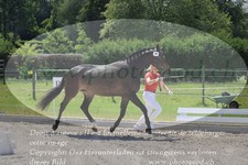ref. photo 3200291