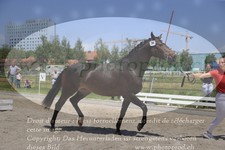 ref. photo 3200297