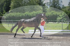 ref. photo 3200299