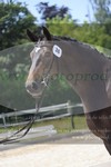 ref. photo 3200307