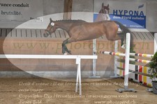 ref. photo 3200354