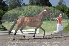 ref. photo 3200367