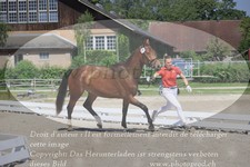 ref. photo 3200368
