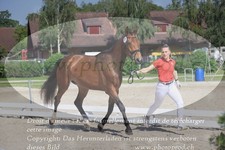 ref. photo 3200370