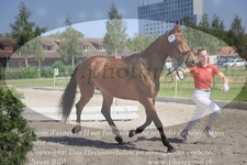 ref. photo 3200371