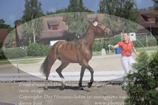 ref. photo 3200376