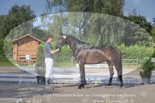 ref. photo 3200492