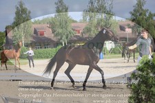 ref. photo 3200505