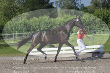 ref. photo 3200665