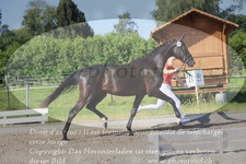 ref. photo 3200666