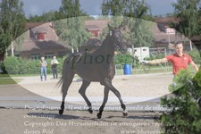 ref. photo 3200668