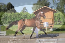 ref. photo 3200711
