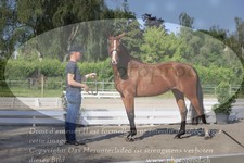 ref. photo 3200744