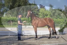 ref. photo 3200746