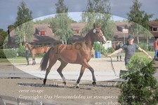 ref. photo 3200754