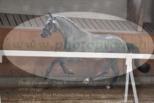 ref. photo 3200771
