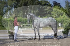 ref. photo 3200800