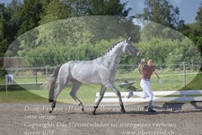ref. photo 3200806