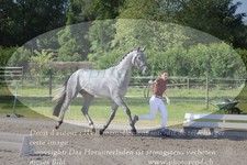 ref. photo 3200811