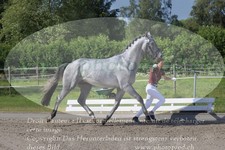 ref. photo 3200812