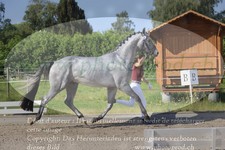 ref. photo 3200813