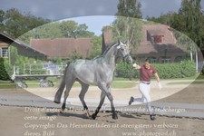 ref. photo 3200815