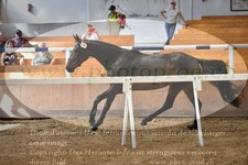ref. photo 3200825