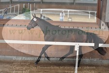 ref. photo 3200828