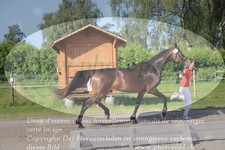 ref. photo 3200860