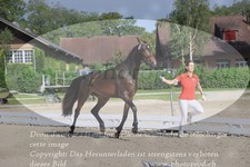 ref. photo 3200862