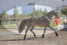 ref. photo 3200864